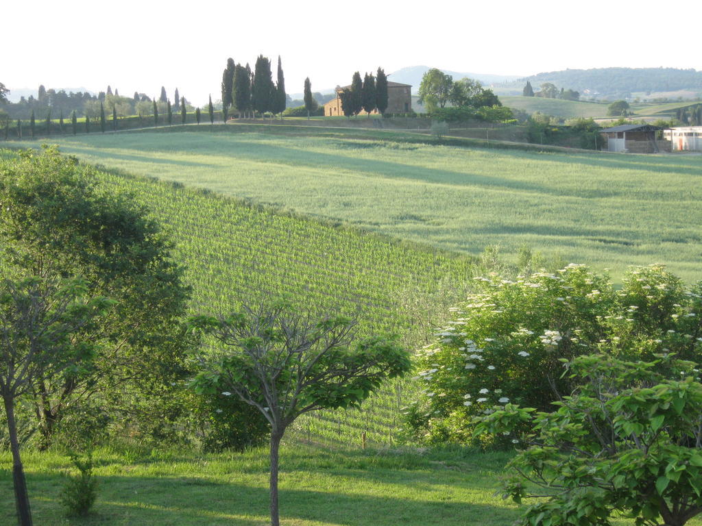 Santa Maria Farm stay Torrita di Siena