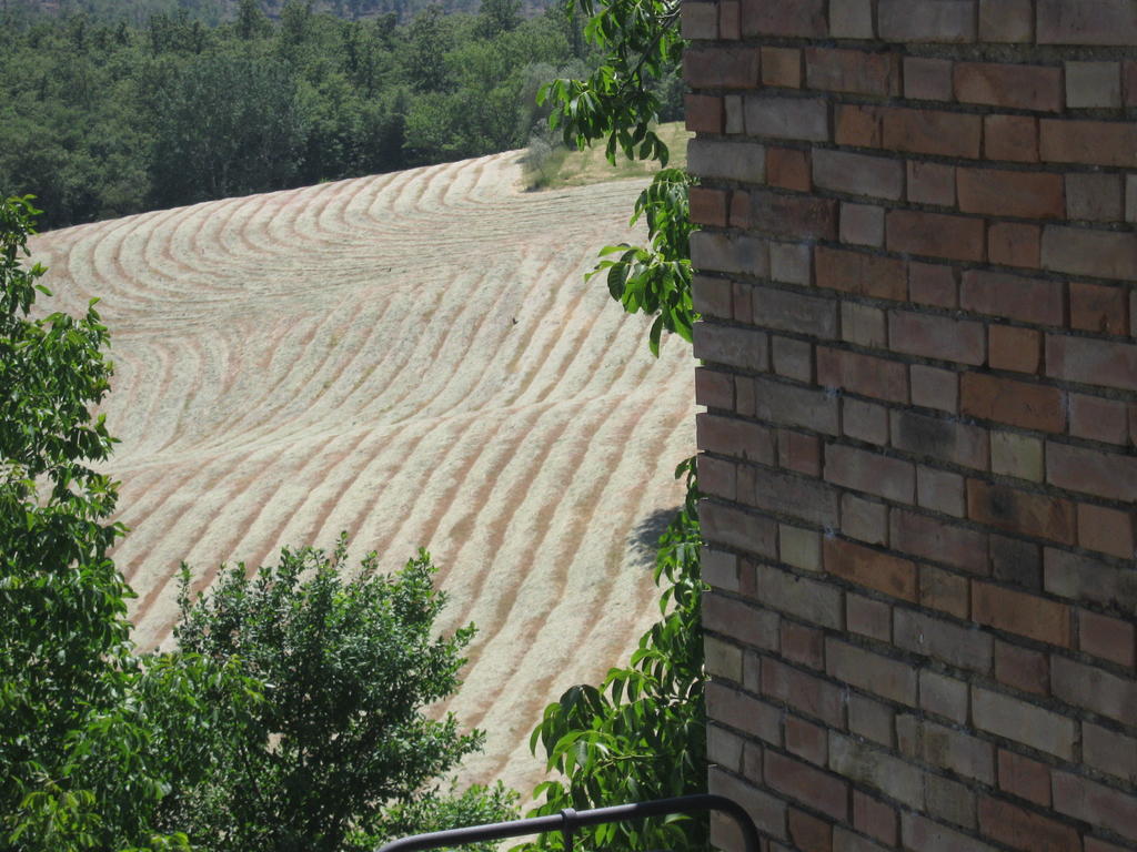 Farm stay Santa Maria *