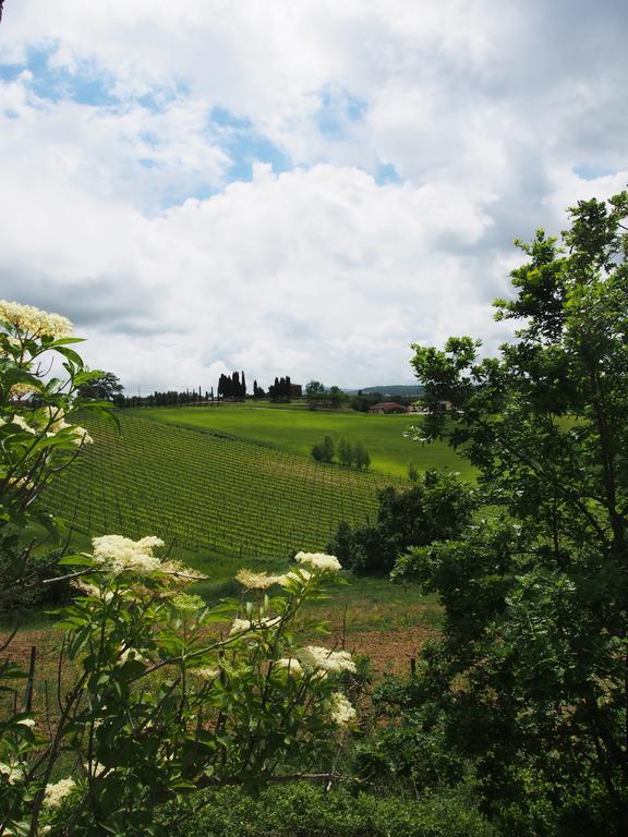 Farm stay Santa Maria Torrita di Siena
