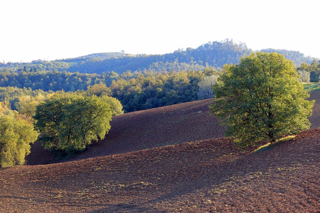 Farm stay Agriturismo Santa Maria Torrita di Siena